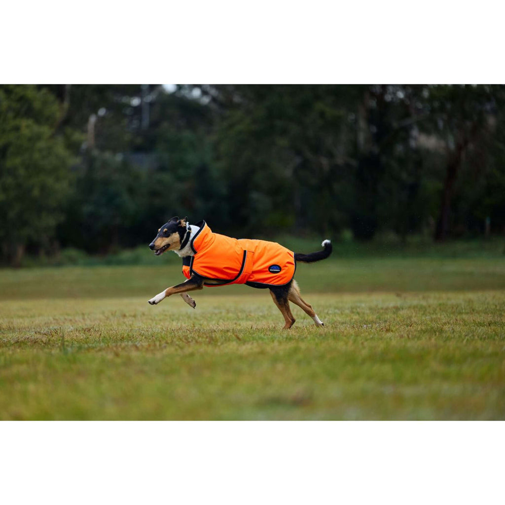 WeatherBeeta Manta para Perros ComFiTec Reflective 300D Deluxe Showerproof Naranja