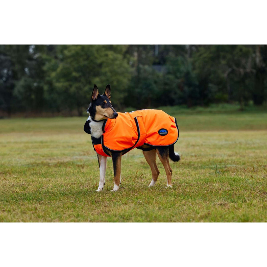 WeatherBeeta Manta para Perros ComFiTec Reflective 300D Deluxe Showerproof Naranja