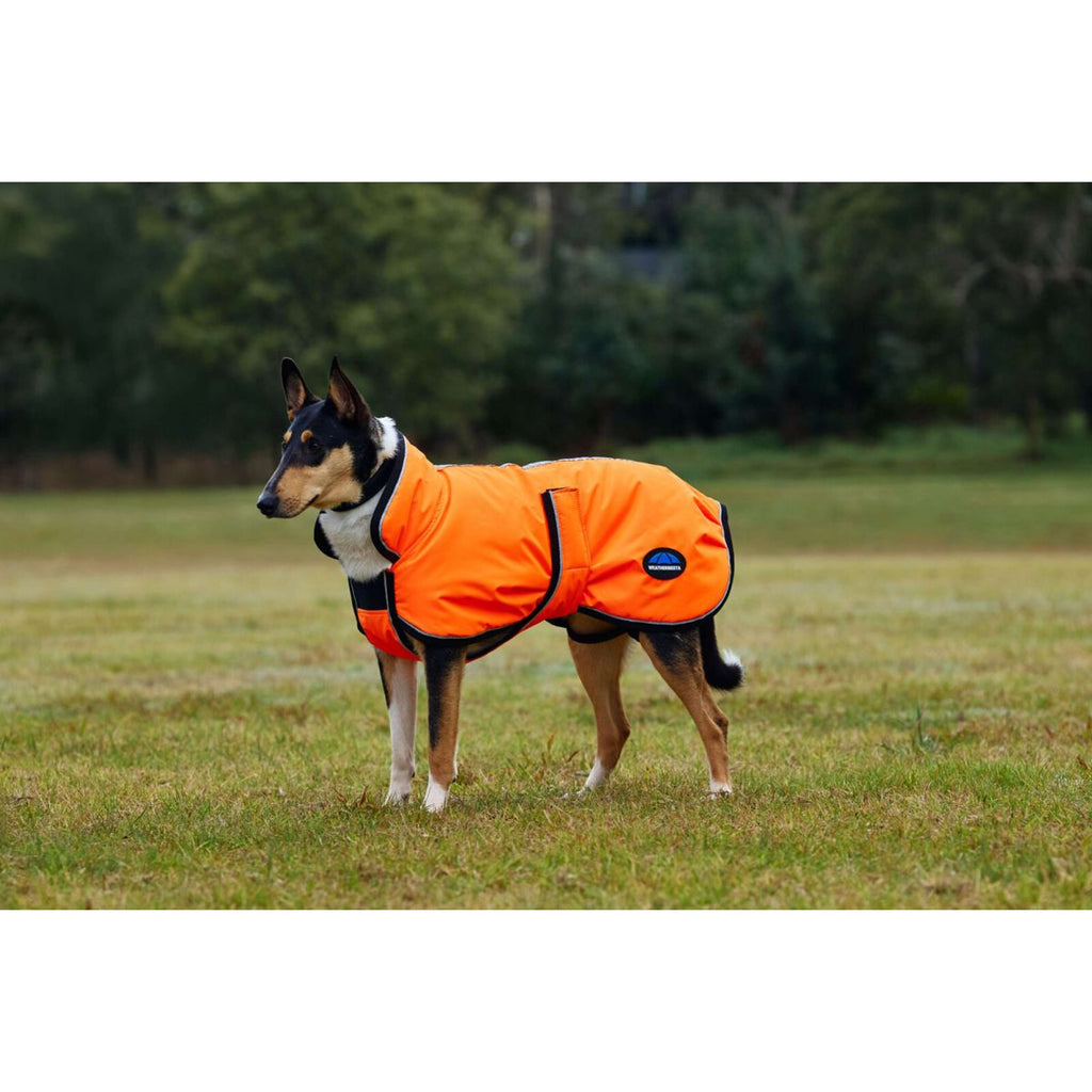 WeatherBeeta Manta para Perros ComFiTec Reflective 300D Deluxe Showerproof Naranja
