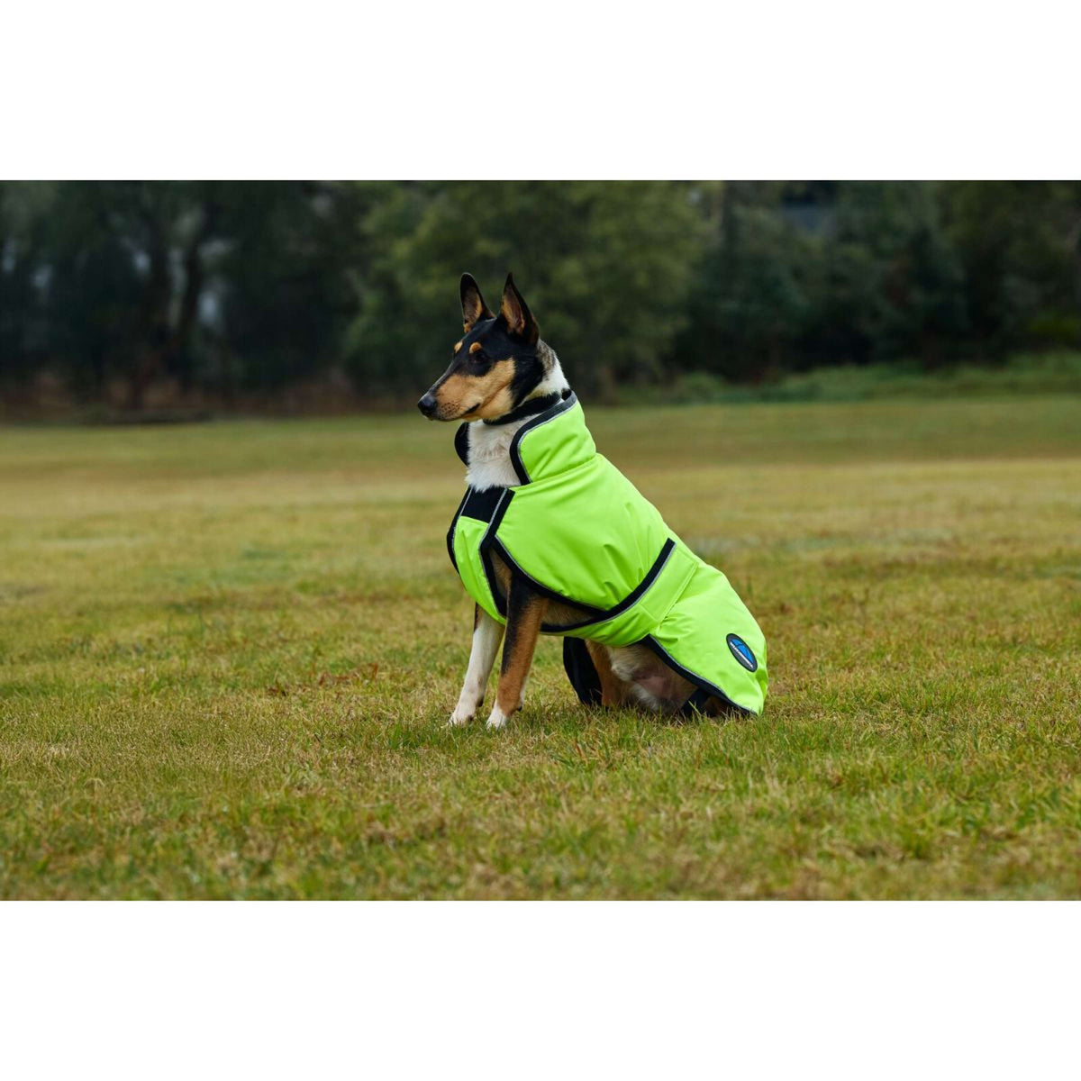 Weatherbeeta Manta para Perros Comfitec Reflective 300D Deluxe Showerproof Amarillo