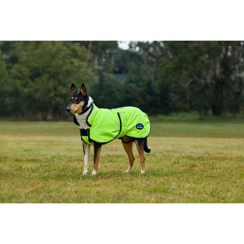 WeatherBeeta Manta para Perros ComFiTec Reflective 300D Deluxe Showerproof Amarillo