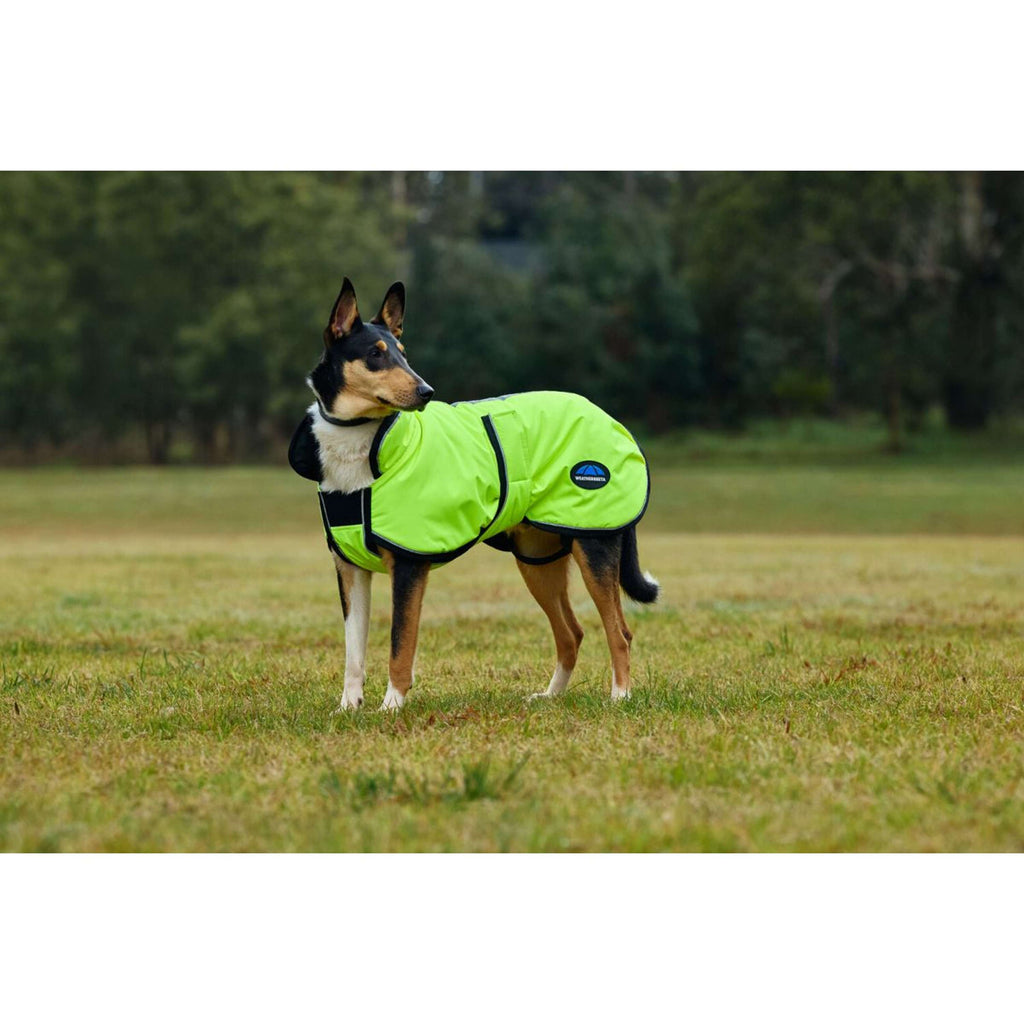 WeatherBeeta Manta para Perros ComFiTec Reflective 300D Deluxe Showerproof Amarillo