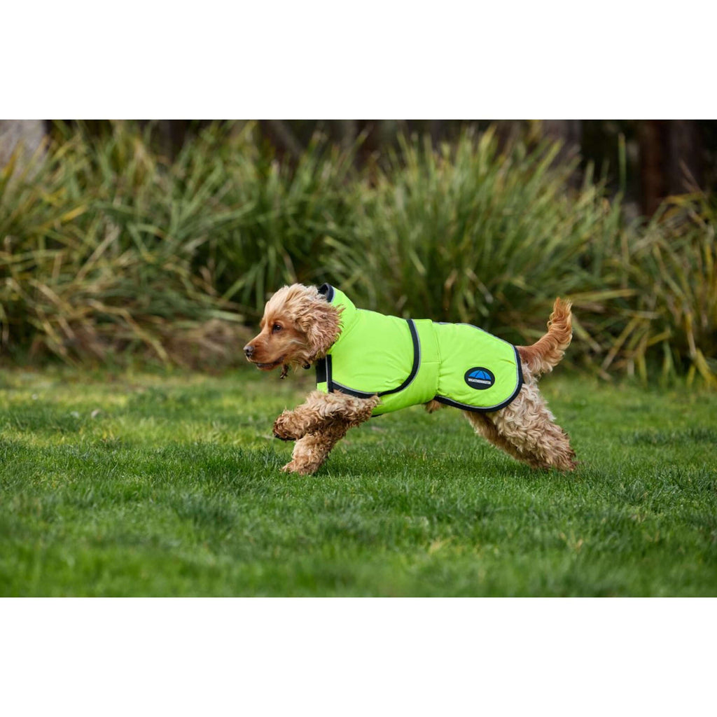 WeatherBeeta Manta para Perros ComFiTec Reflective 300D Deluxe Showerproof Amarillo