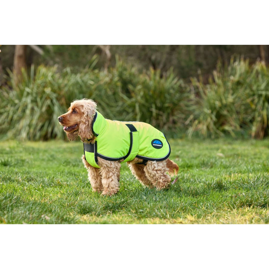 WeatherBeeta Manta para Perros ComFiTec Reflective 300D Deluxe Showerproof Amarillo