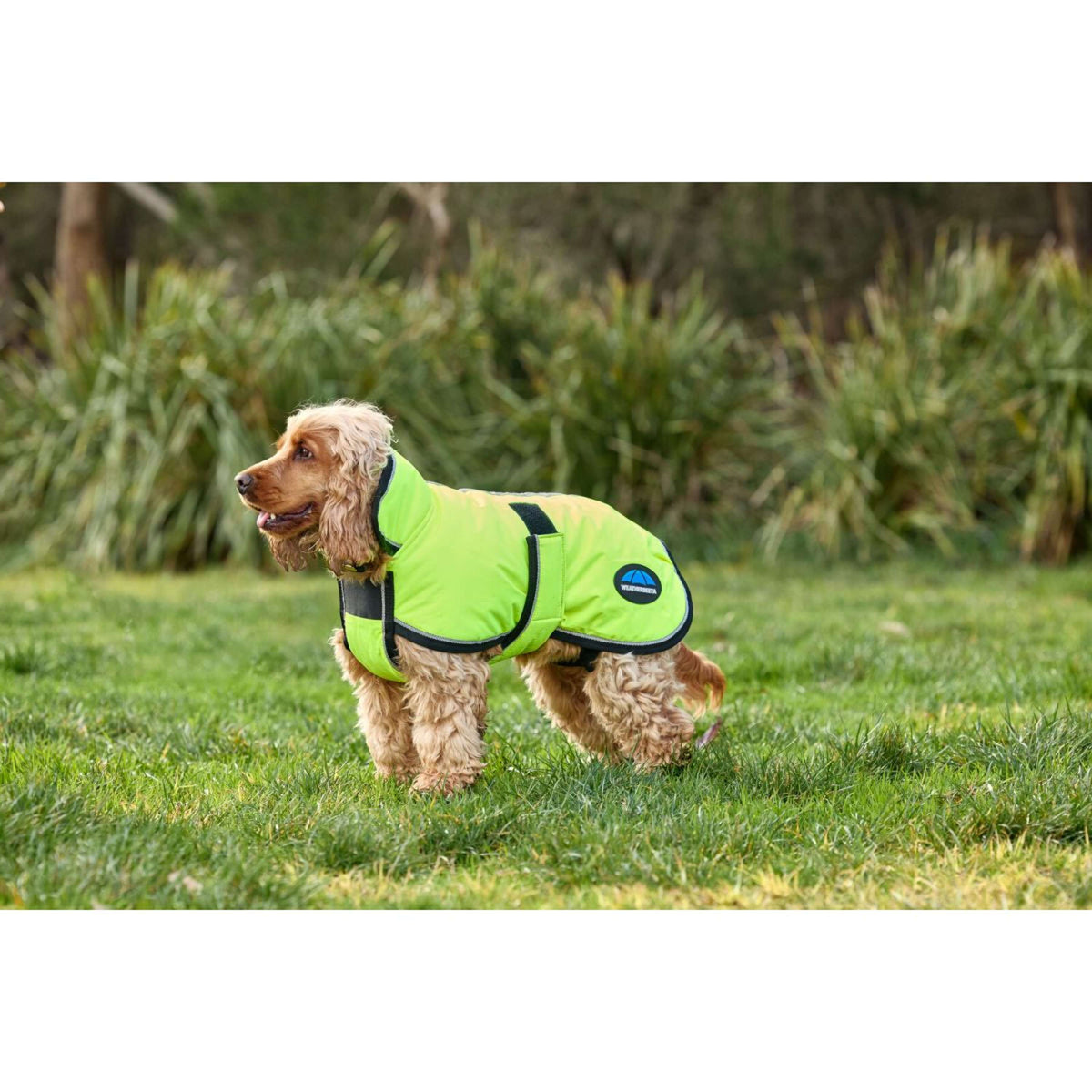 Weatherbeeta Manta para Perros Comfitec Reflective 300D Deluxe Showerproof Amarillo