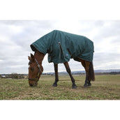 Weatherbeeta Comfitec Classic Turnout Combo 50g Forest Green/Black