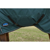 Weatherbeeta Comfitec Classic Turnout Combo 50g Forest Green/Black