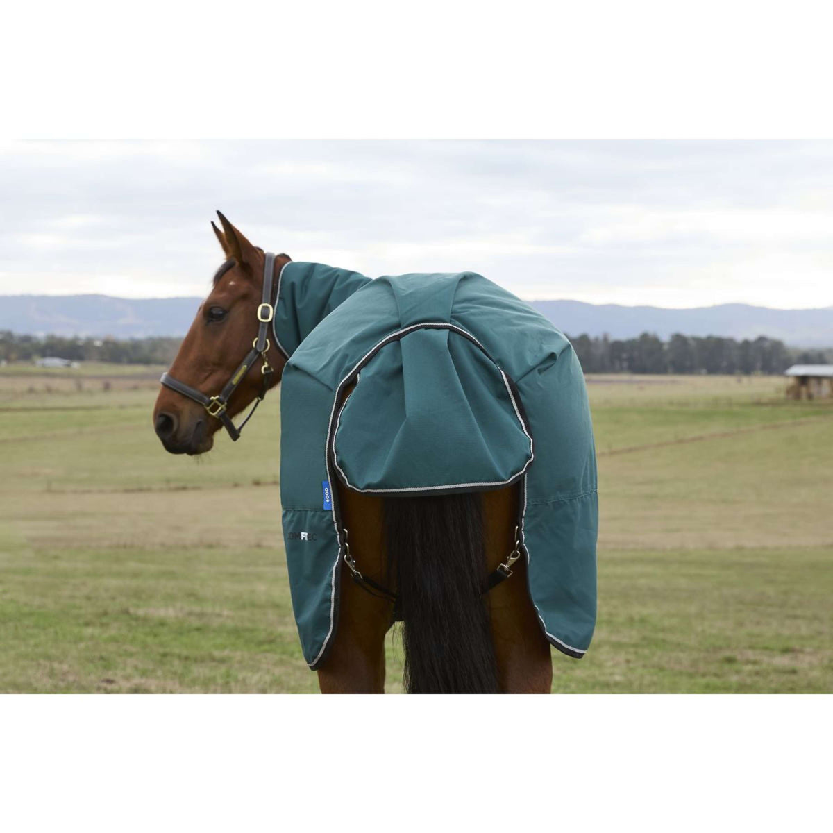 Weatherbeeta Comfitec Classic Turnout Combo 50g Forest Green/Black