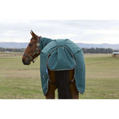 Weatherbeeta Comfitec Classic Turnout Combo 50g Forest Green/Black