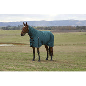 Weatherbeeta Comfitec Classic Turnout Combo 50g Forest Green/Black