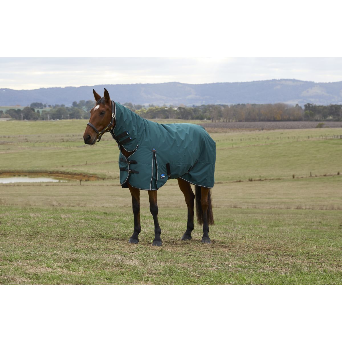 Weatherbeeta Comfitec Classic Turnout Combo 50g Forest Green/Black