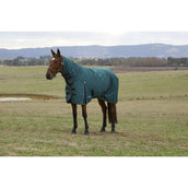 Weatherbeeta Comfitec Classic Turnout Combo 50g Forest Green/Black