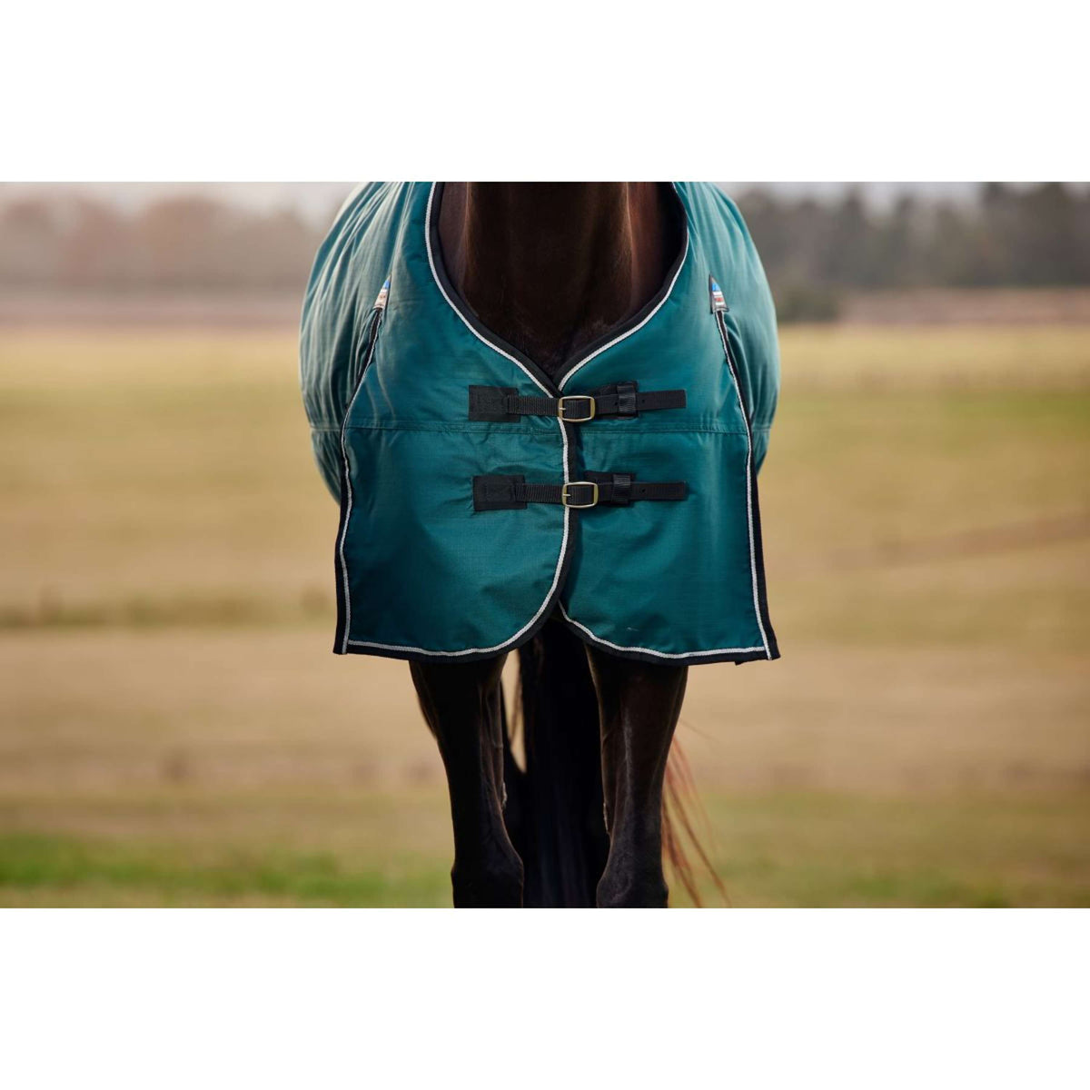 Weatherbeeta Comfitec Classic Turnout 50g Forest Green/Black