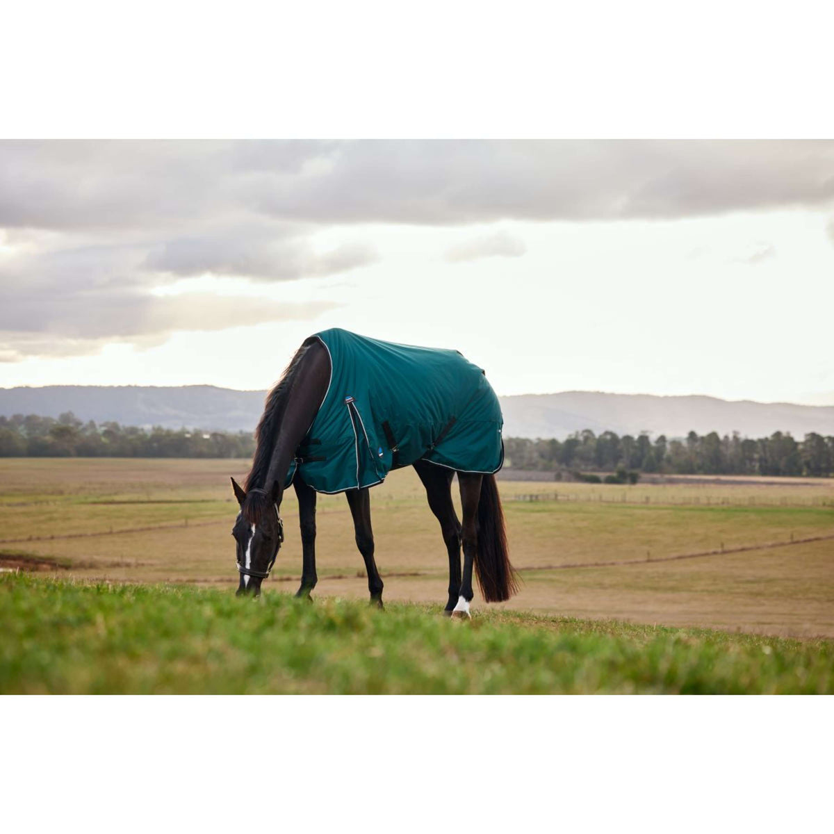 Weatherbeeta Comfitec Classic Turnout 50g Forest Green/Black