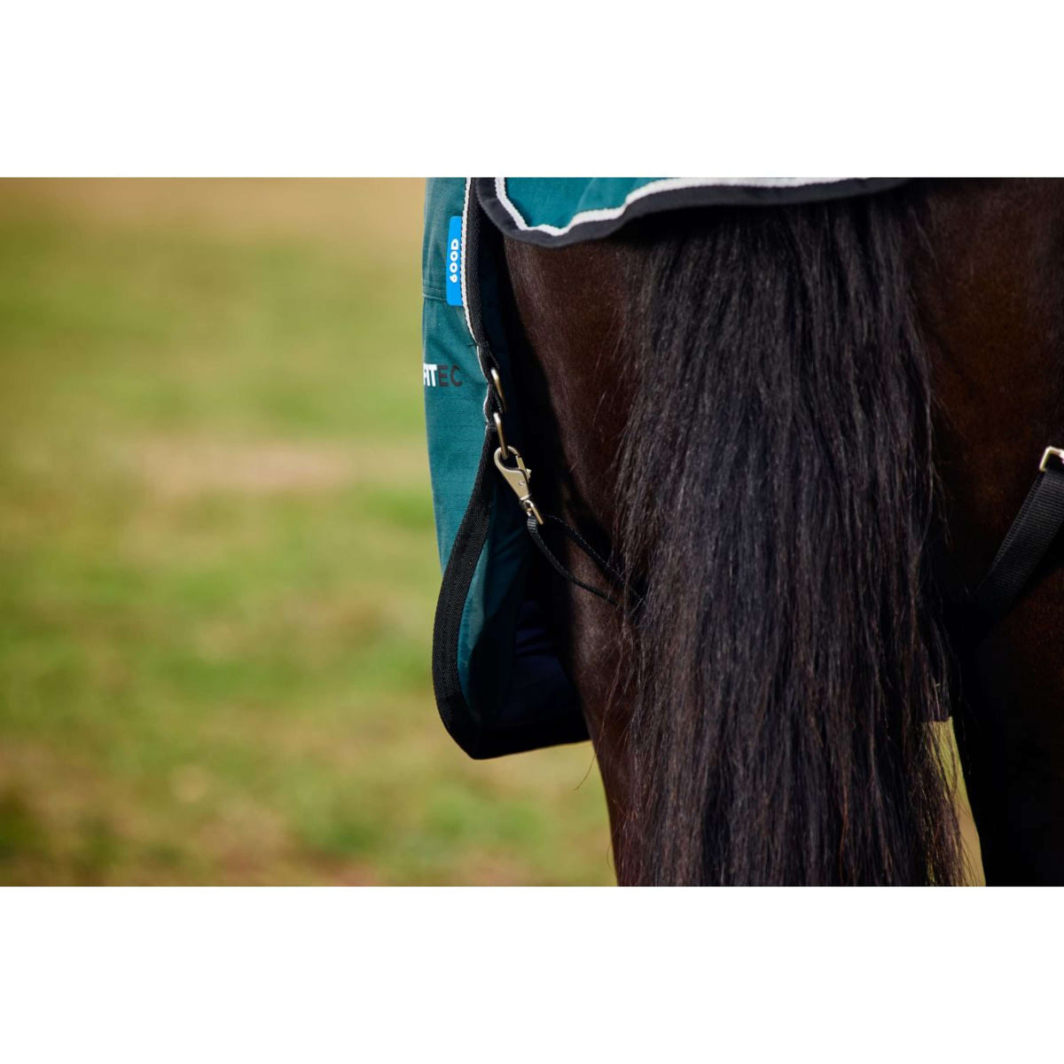 Weatherbeeta Comfitec Classic Turnout 50g Forest Green/Black