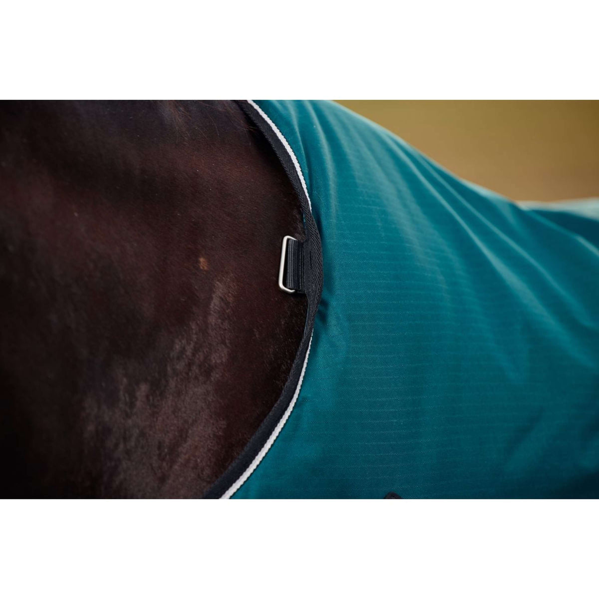 Weatherbeeta Comfitec Classic Turnout 50g Forest Green/Black