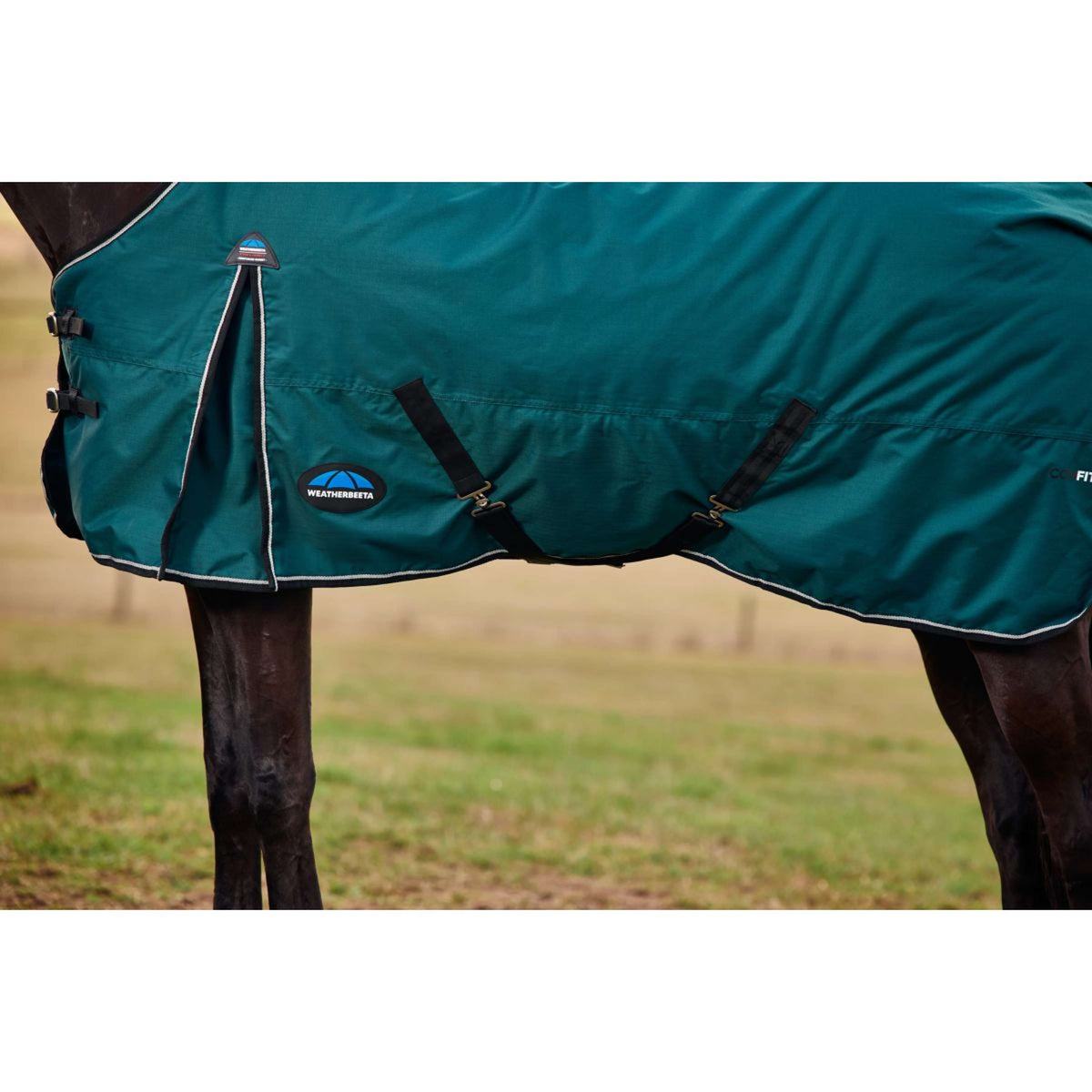 Weatherbeeta Comfitec Classic Turnout 50g Forest Green/Black