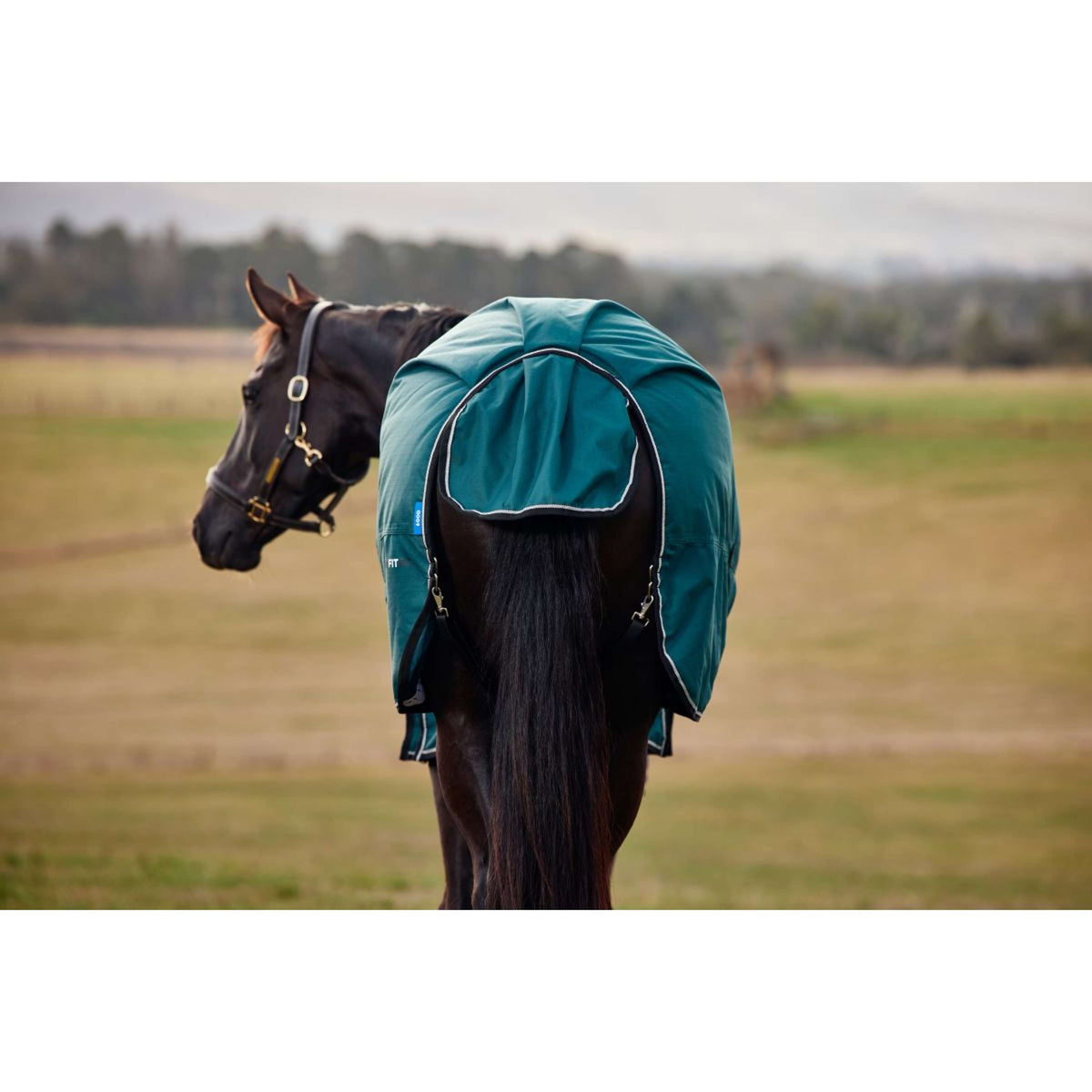 Weatherbeeta Comfitec Classic Turnout 50g Forest Green/Black