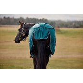 Weatherbeeta Comfitec Classic Turnout 50g Forest Green/Black