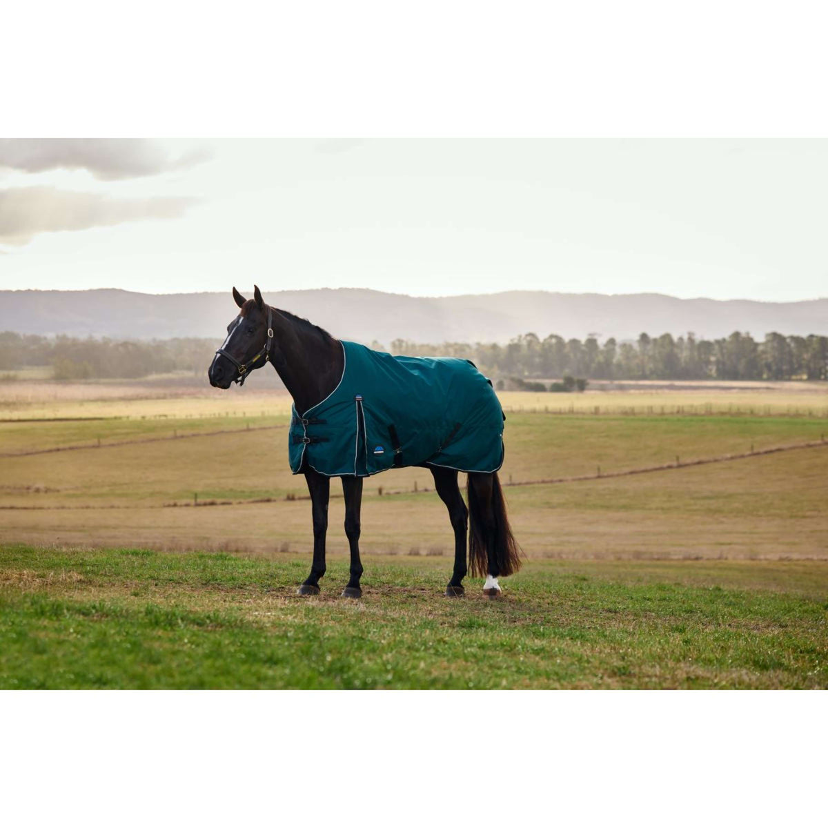Weatherbeeta Comfitec Classic Turnout 50g Forest Green/Black