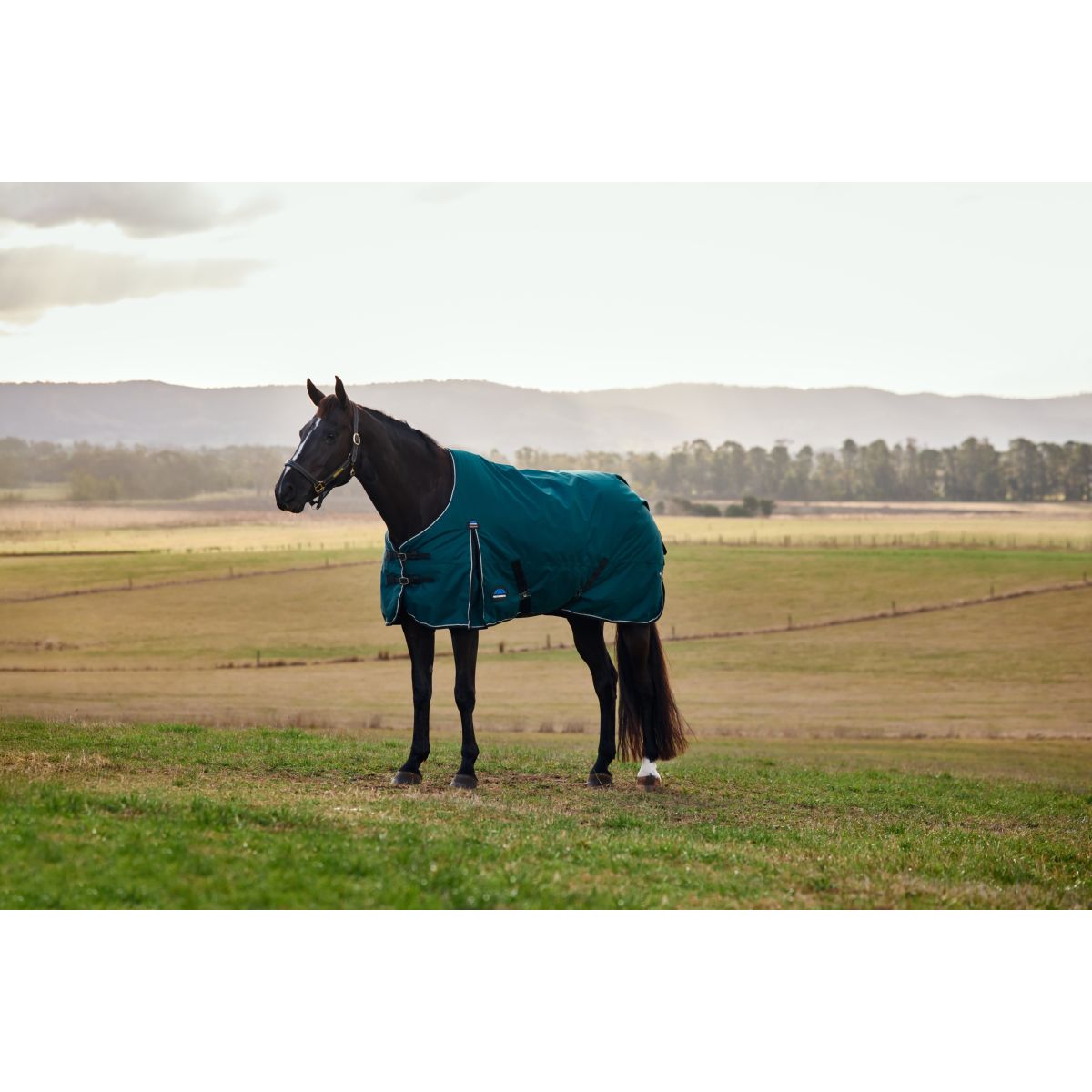 Weatherbeeta Comfitec Classic Turnout 50g Forest Green/Black