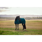 Weatherbeeta Comfitec Classic Turnout 50g Forest Green/Black