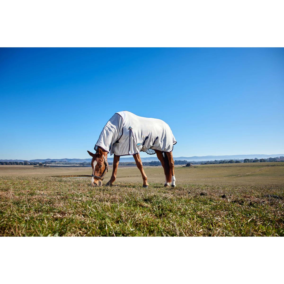 WeatherBeeta Manta Antimoscas ComFiTec Airflow Detach-A-Neck Grey/Navy/Burgundy