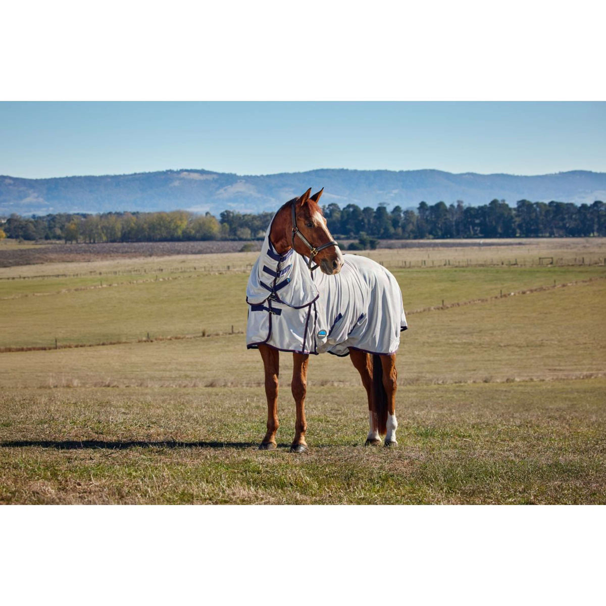 WeatherBeeta Manta Antimoscas ComFiTec Airflow Detach-A-Neck Grey/Navy/Burgundy