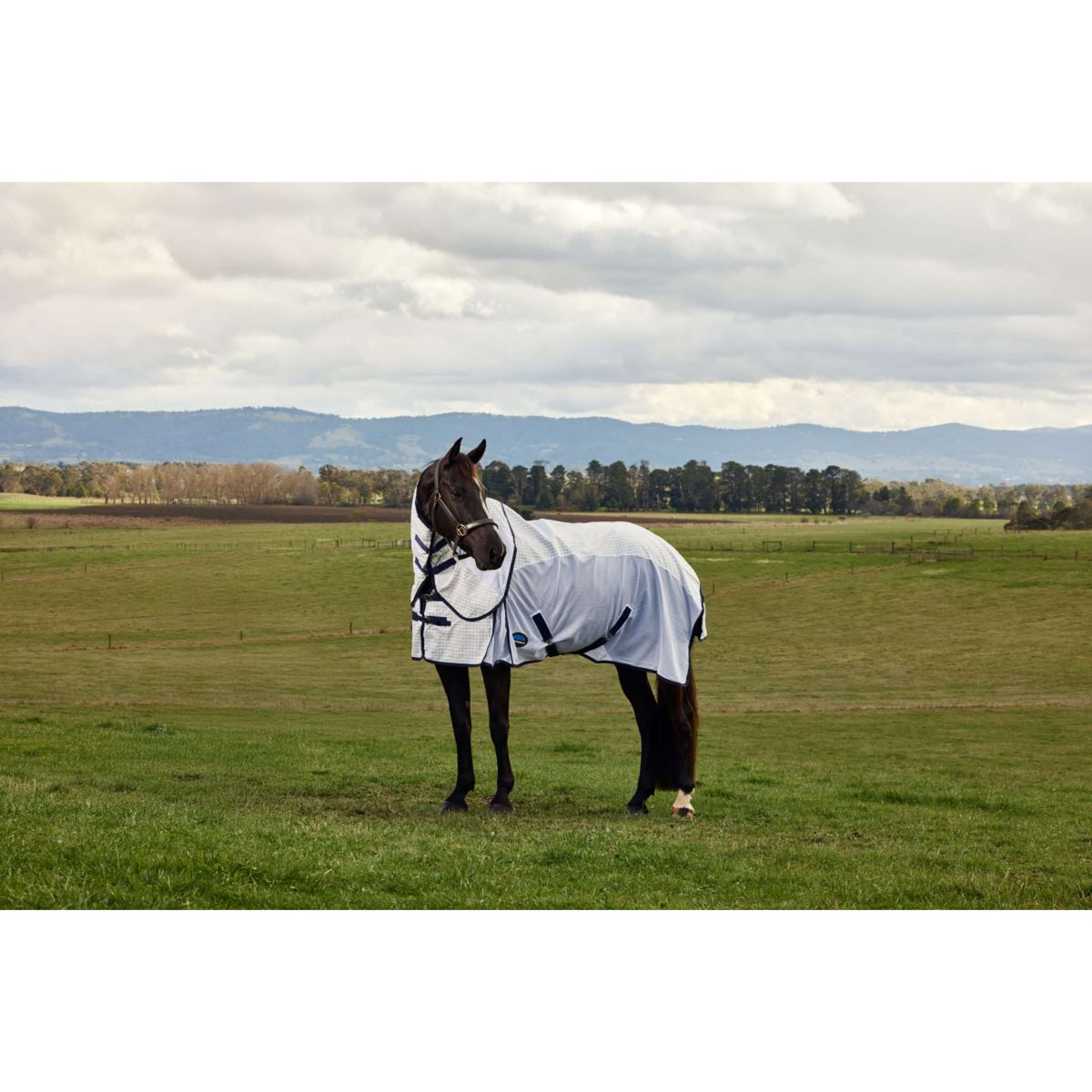 WeatherBeeta Manta de Verano Airstream Combo Blanco/Azul Marino