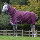 Weatherbeeta Manta de Invierno Comfitec Plus Dynamic II Detach-A-Neck Medium Granate/Gris/Blanco