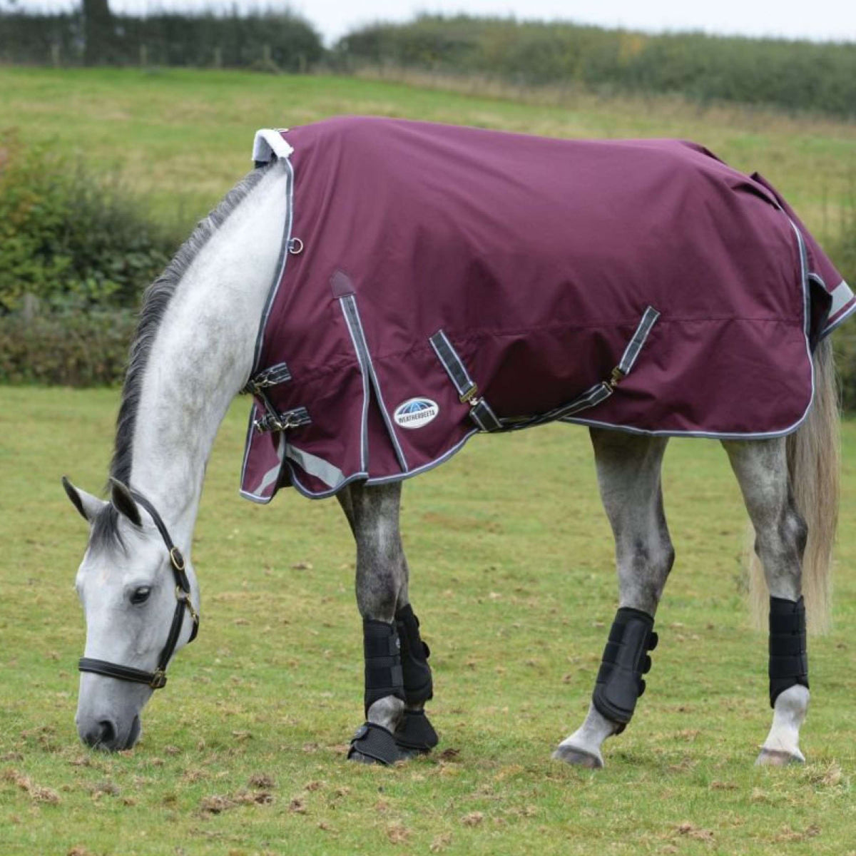 Weatherbeeta Manta Impermeable Comfitec Plus Dynamic II Standard Neck Lite Granate/Gris/Blanco