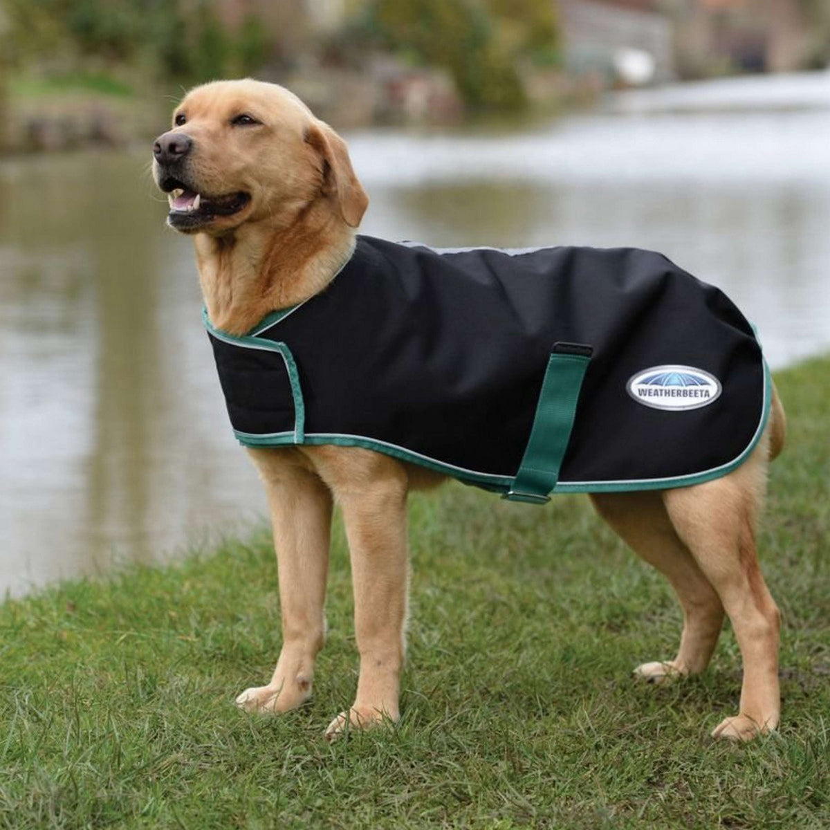 WeatherBeeta Abrigo para Perro Green-Tec Abrigo para perros 900D Lite Plus Negro/bottle Verde