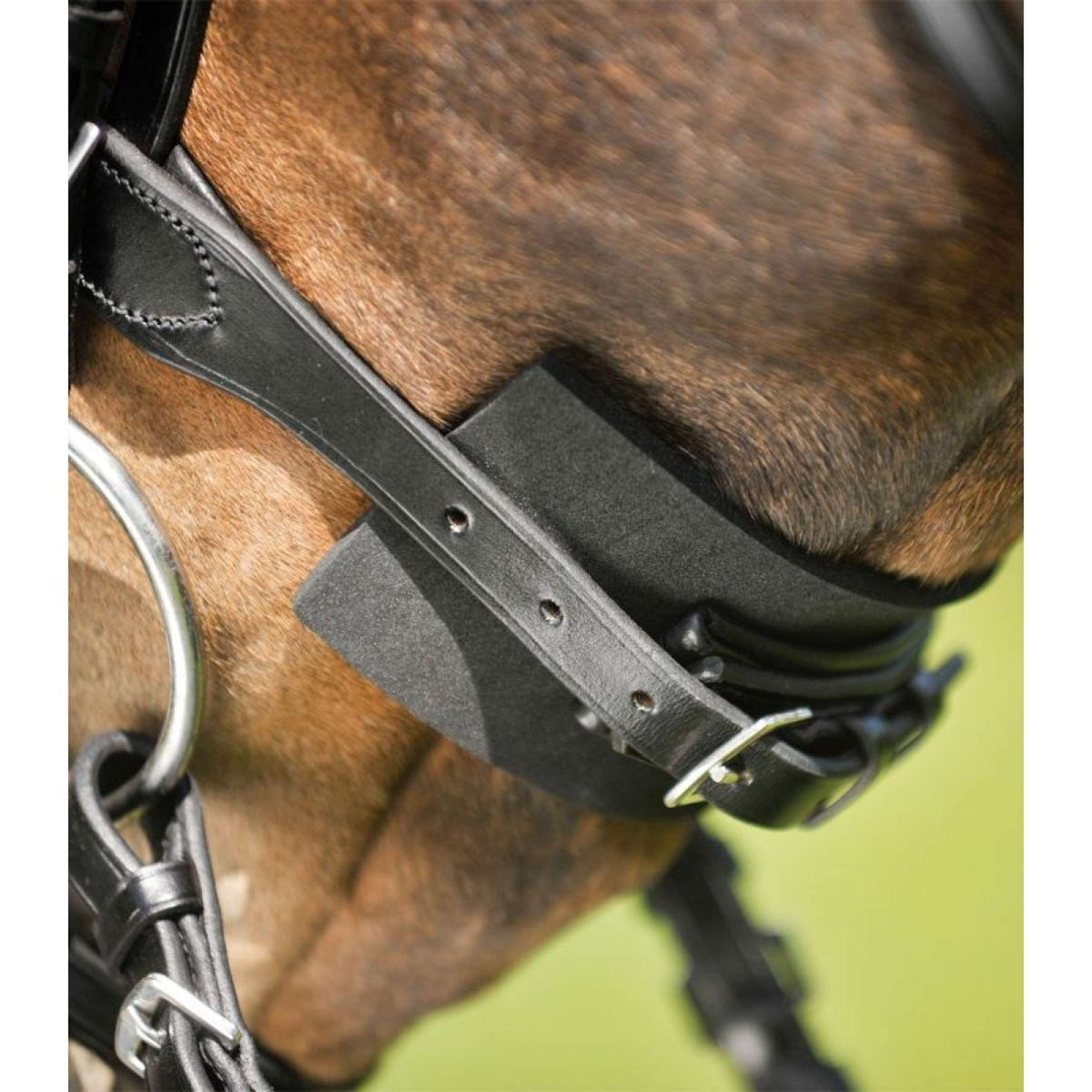Waldhausen Protector de Barbada 20 Piezas Negro