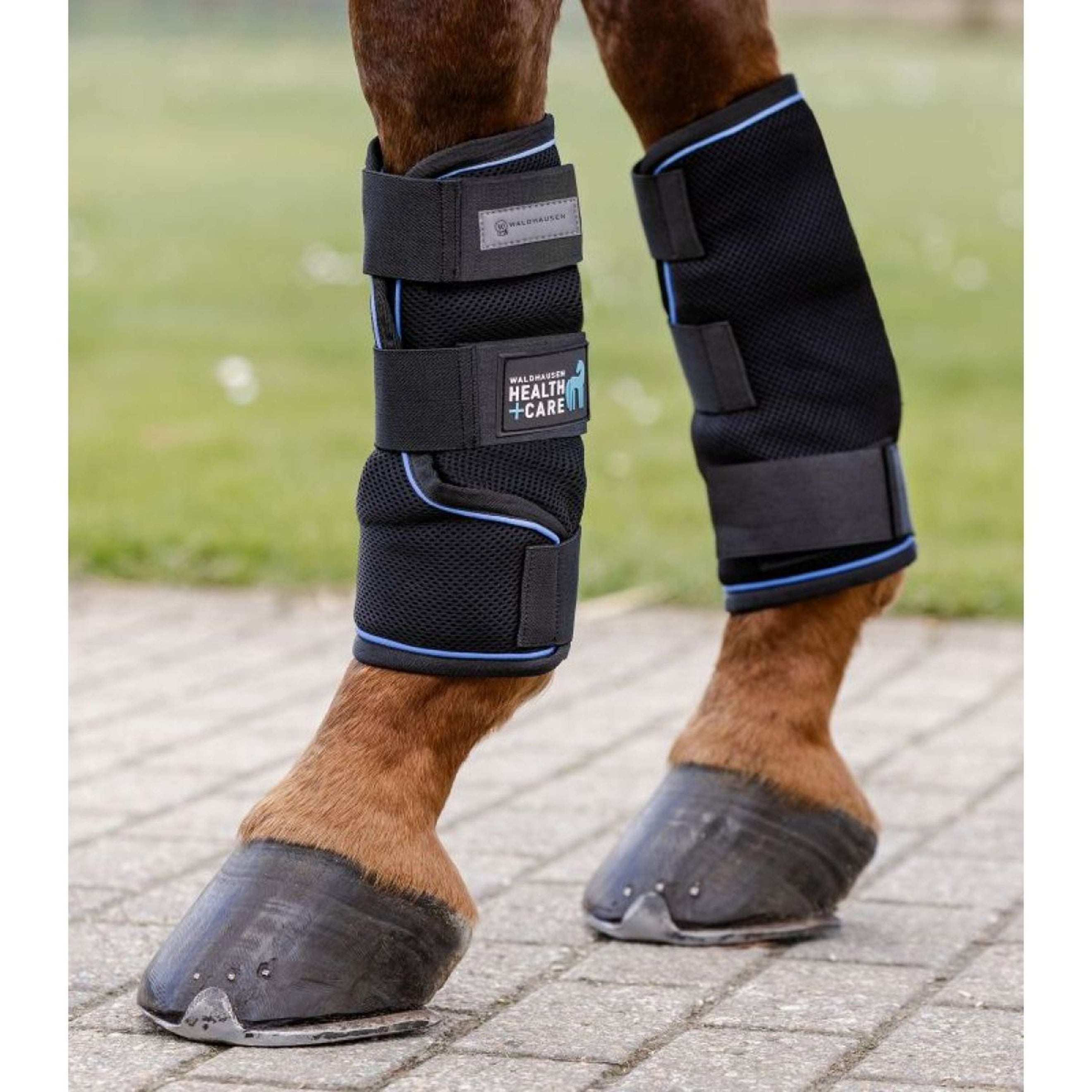 Waldhausen Health + Care Ice Boots Negro Waldhausen Health + Care Ice Boots Negro