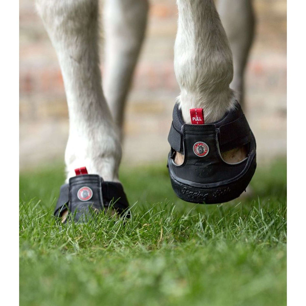Equine Fusion Herradura Trekking Negro
