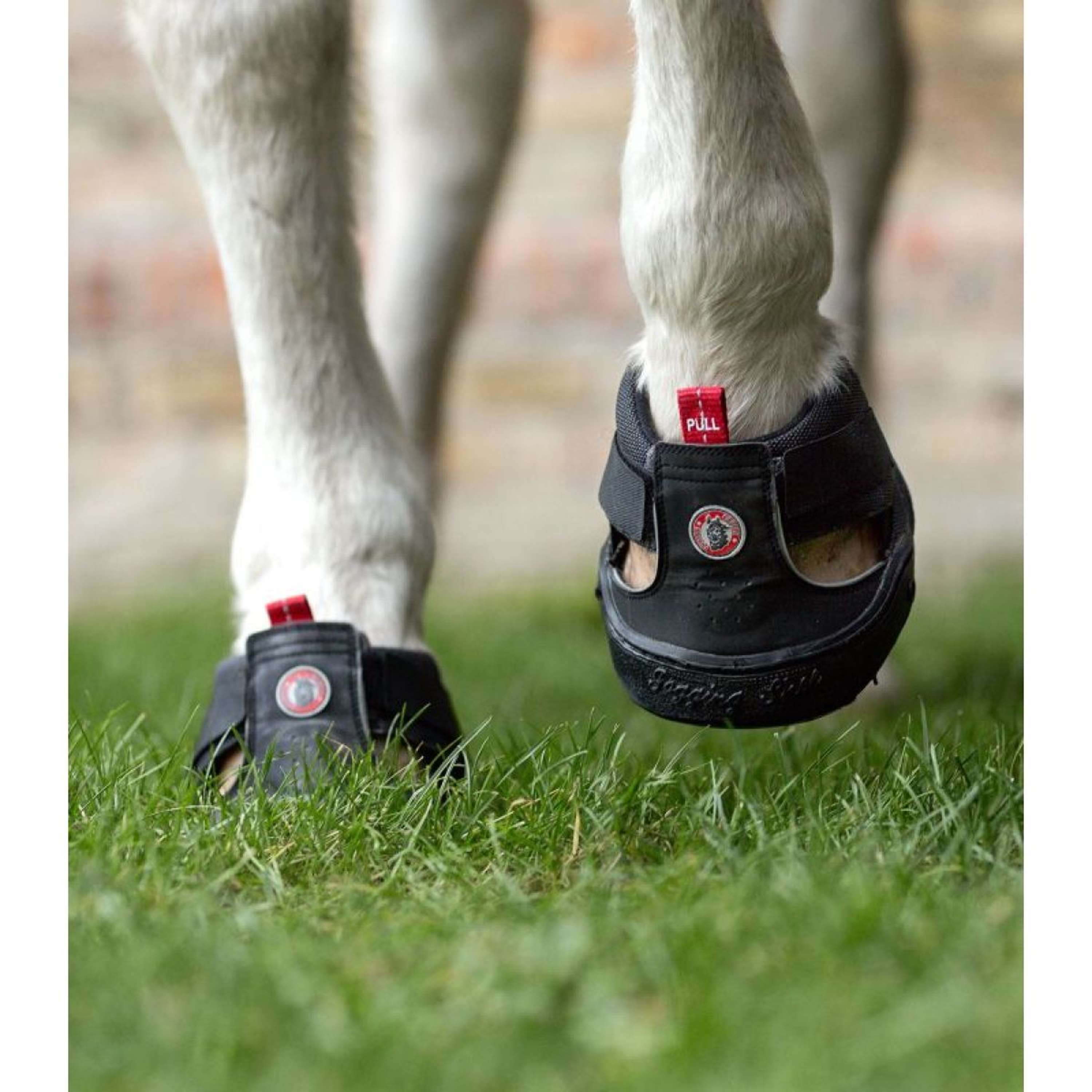 Equine Fusion Herradura Trekking Slim Negro