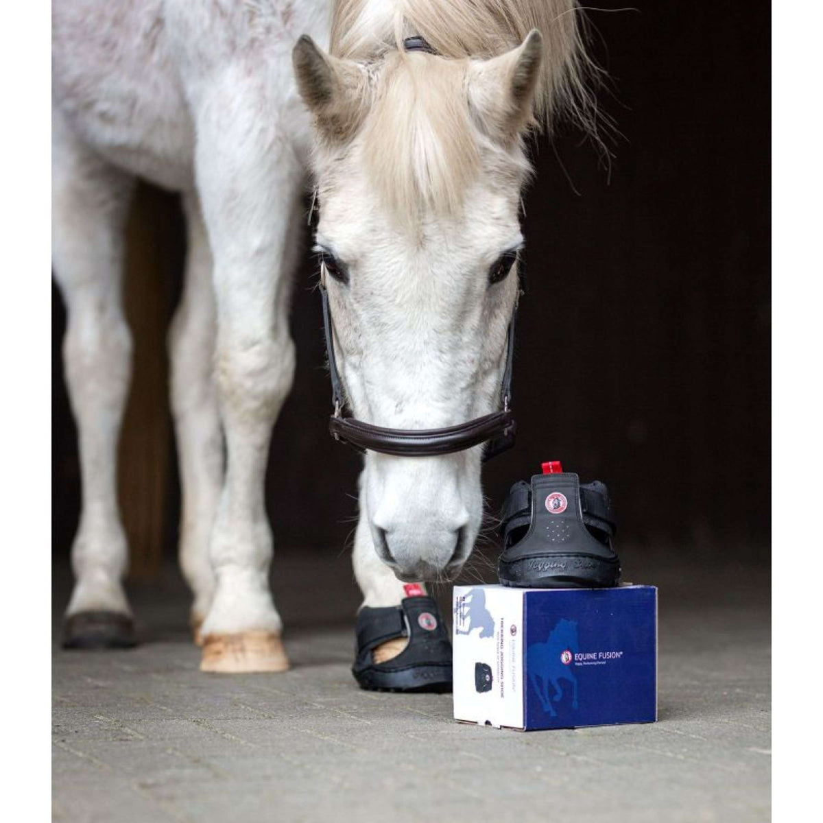 Equine Fusion Herradura Trekking Negro