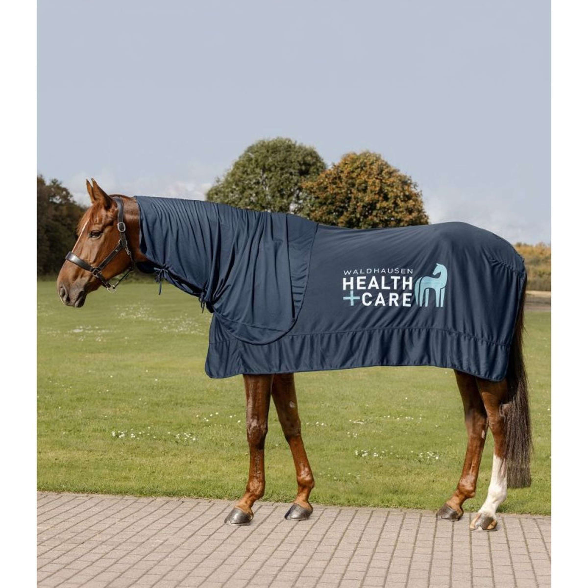 Waldhausen Health + Care Cubrecuellos Ice Layer Azul Noche