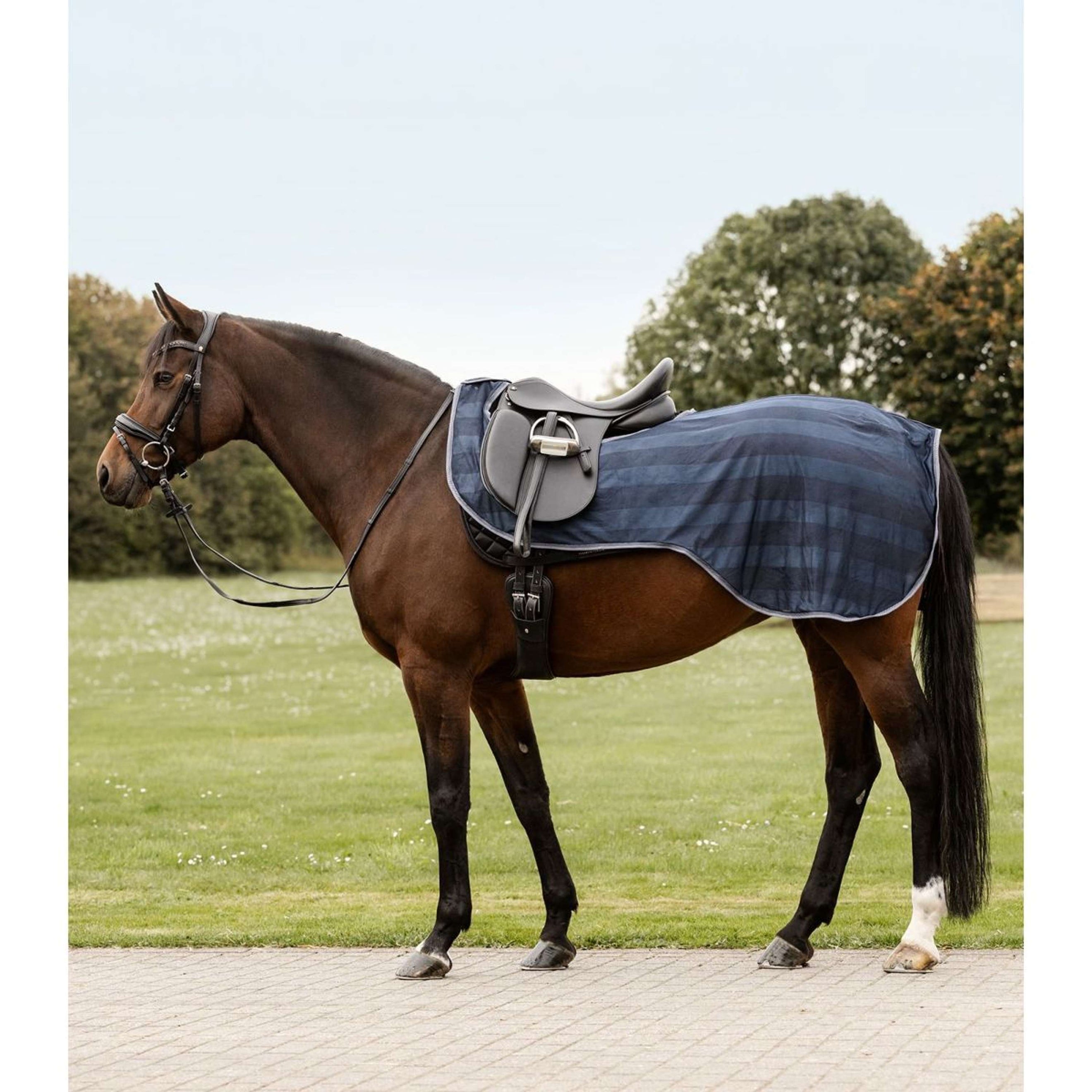 Waldhausen Manta antimoscas para montar Economic Azul Noche