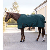 Waldhausen Alfombra de Exterior Arctic Light 0g Petrol Blue