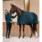 Waldhausen Alfombra de Exterior Arctic Light 0g Petrol Blue
