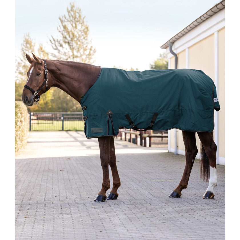 Waldhausen Alfombra de Exterior Arctic 50g Petrol Blue