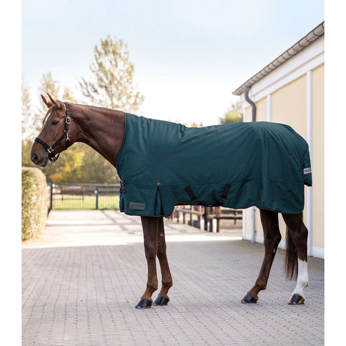 Waldhausen Alfombra de Exterior Arctic High Neck Light 0g Petrol Blue