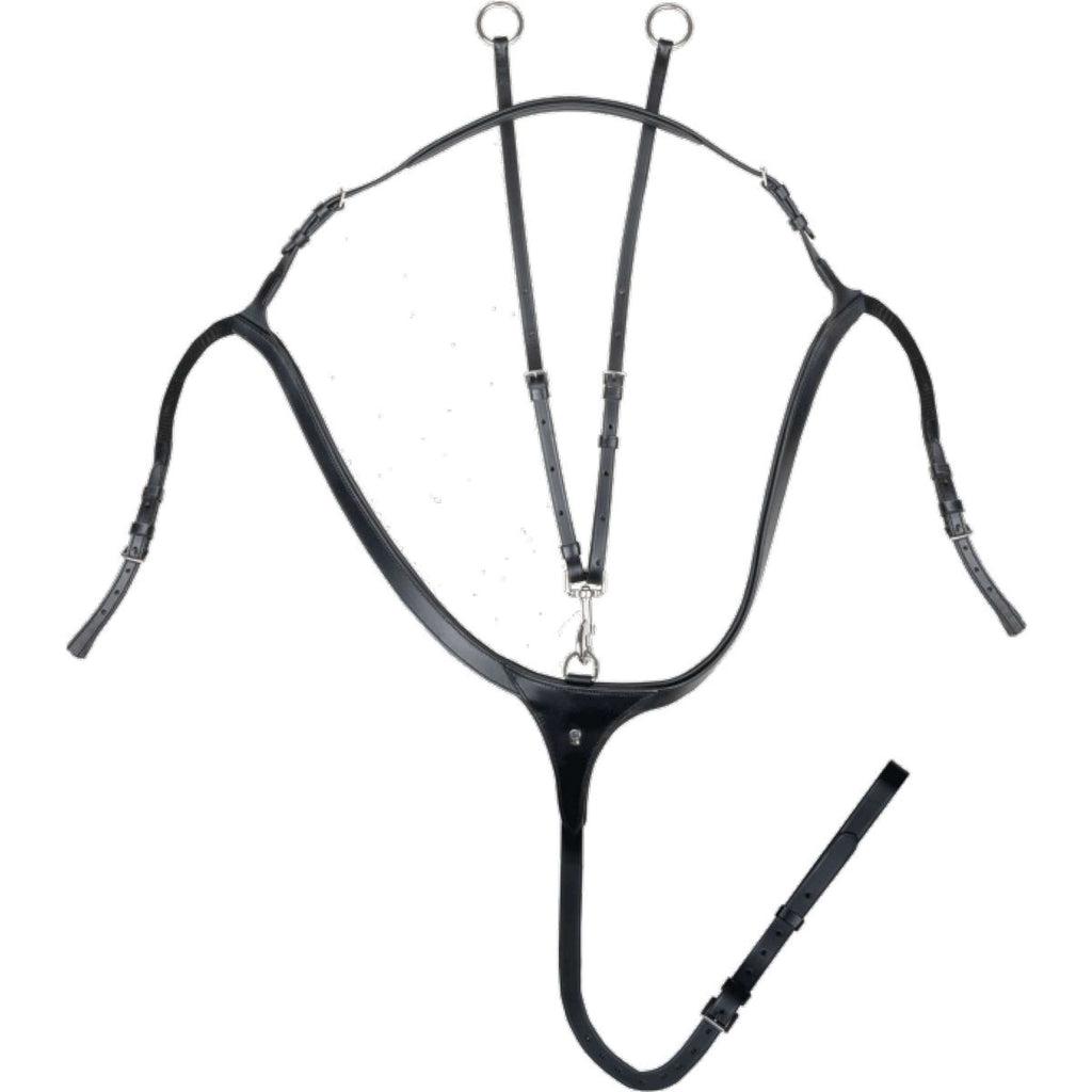 Waldhausen Martingala X-Line Negro