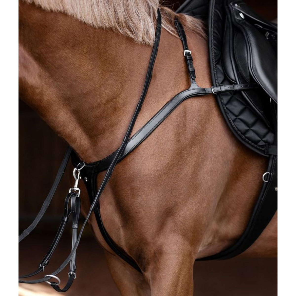 Waldhausen Martingala X-Line Negro