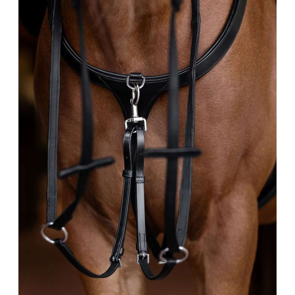 Waldhausen Martingala X-Line Negro
