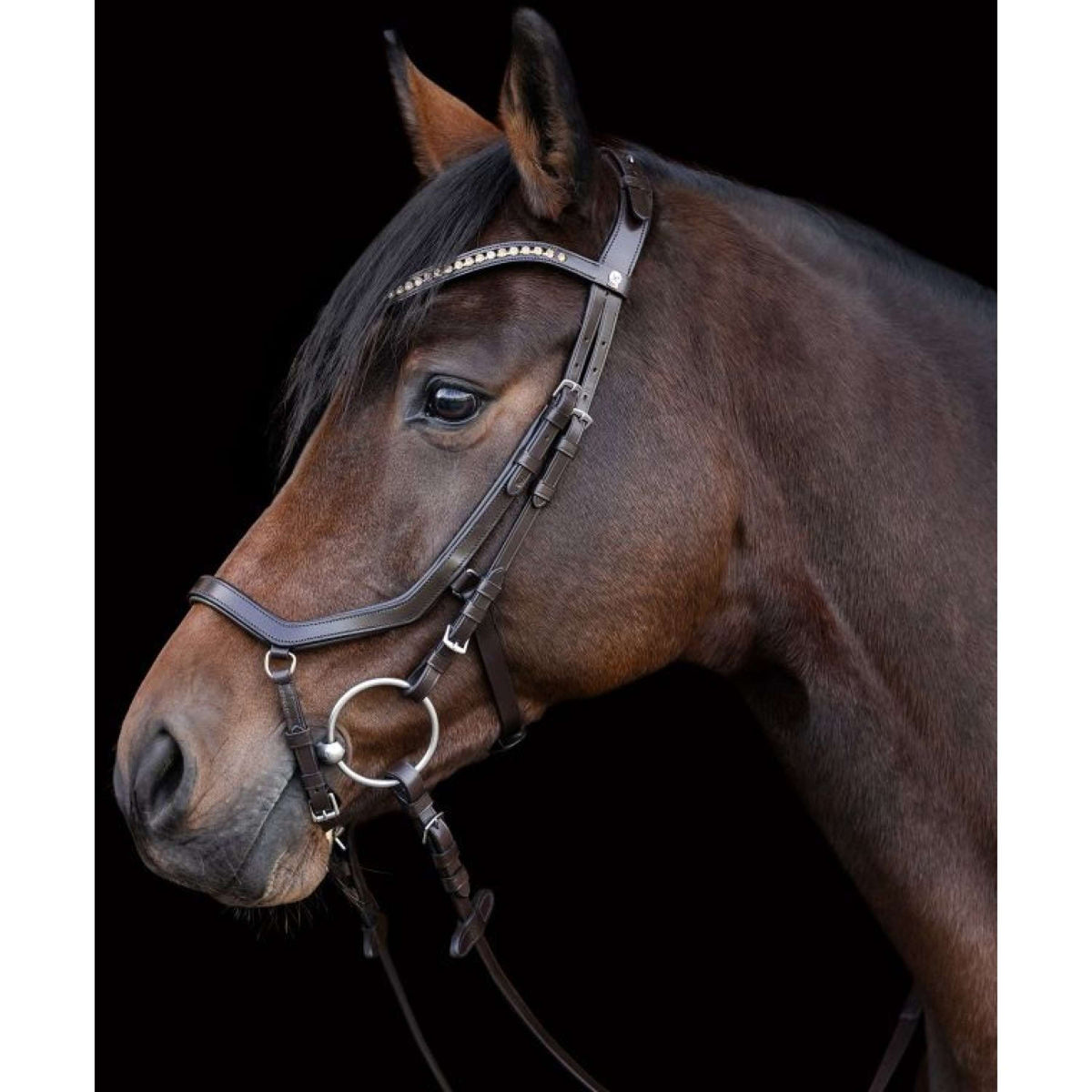 Waldhausen Brida X-Line Relaxation Marron