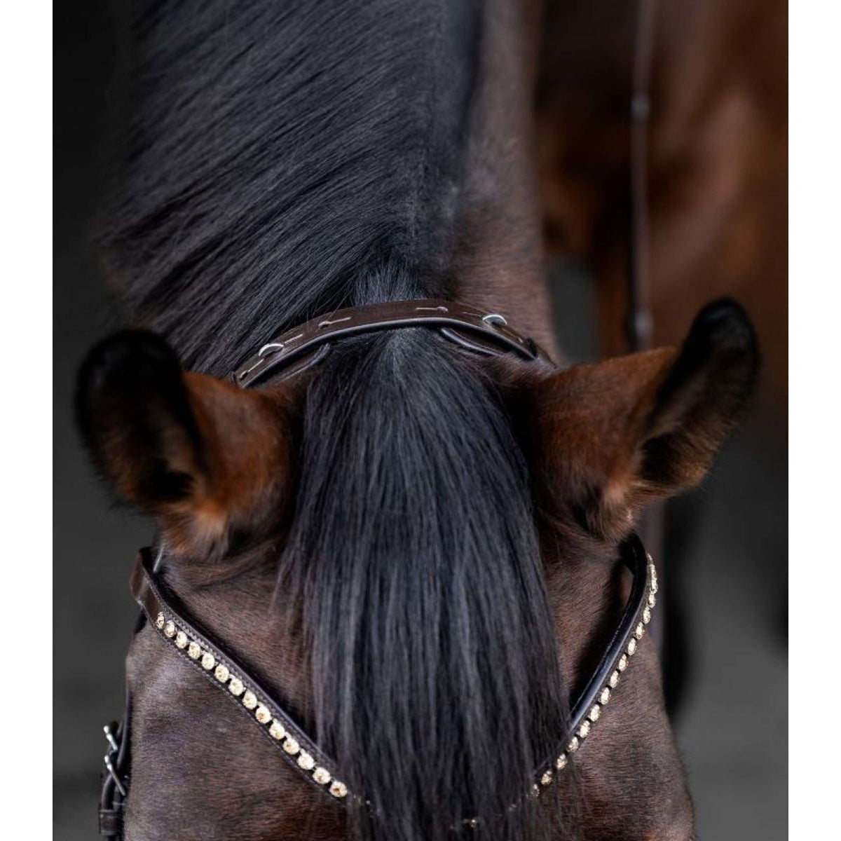 Waldhausen Brida X-Line Relaxation Marron