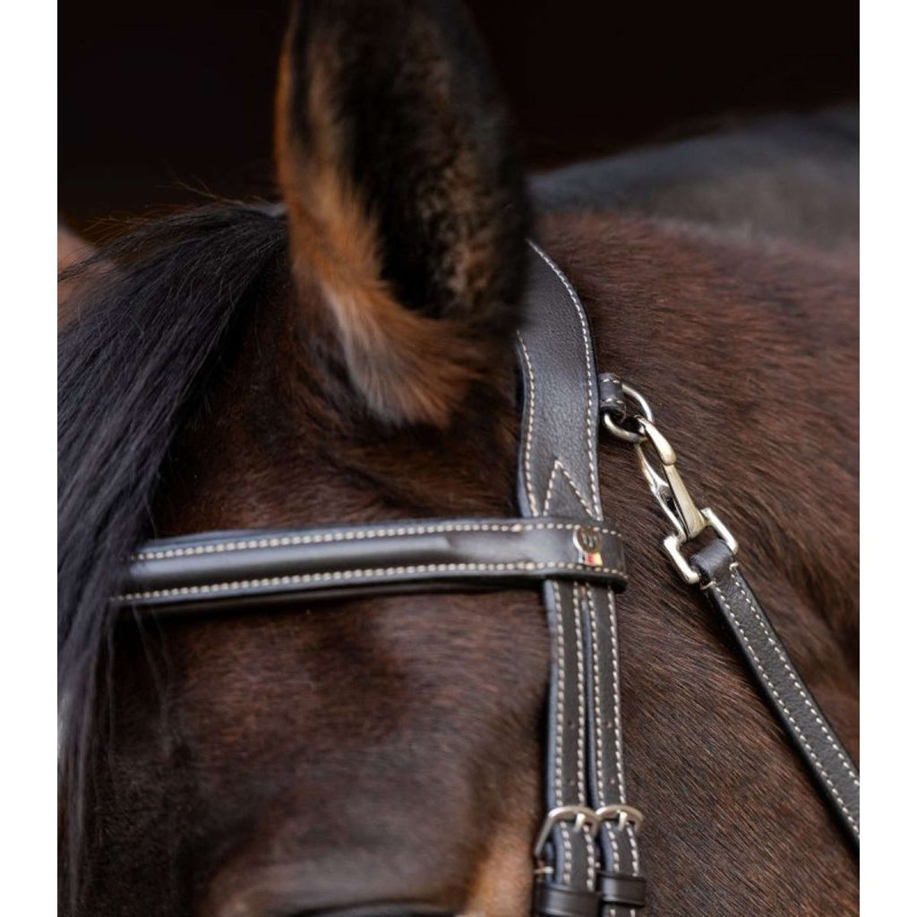 Waldhausen Brida X-Line Work Marron