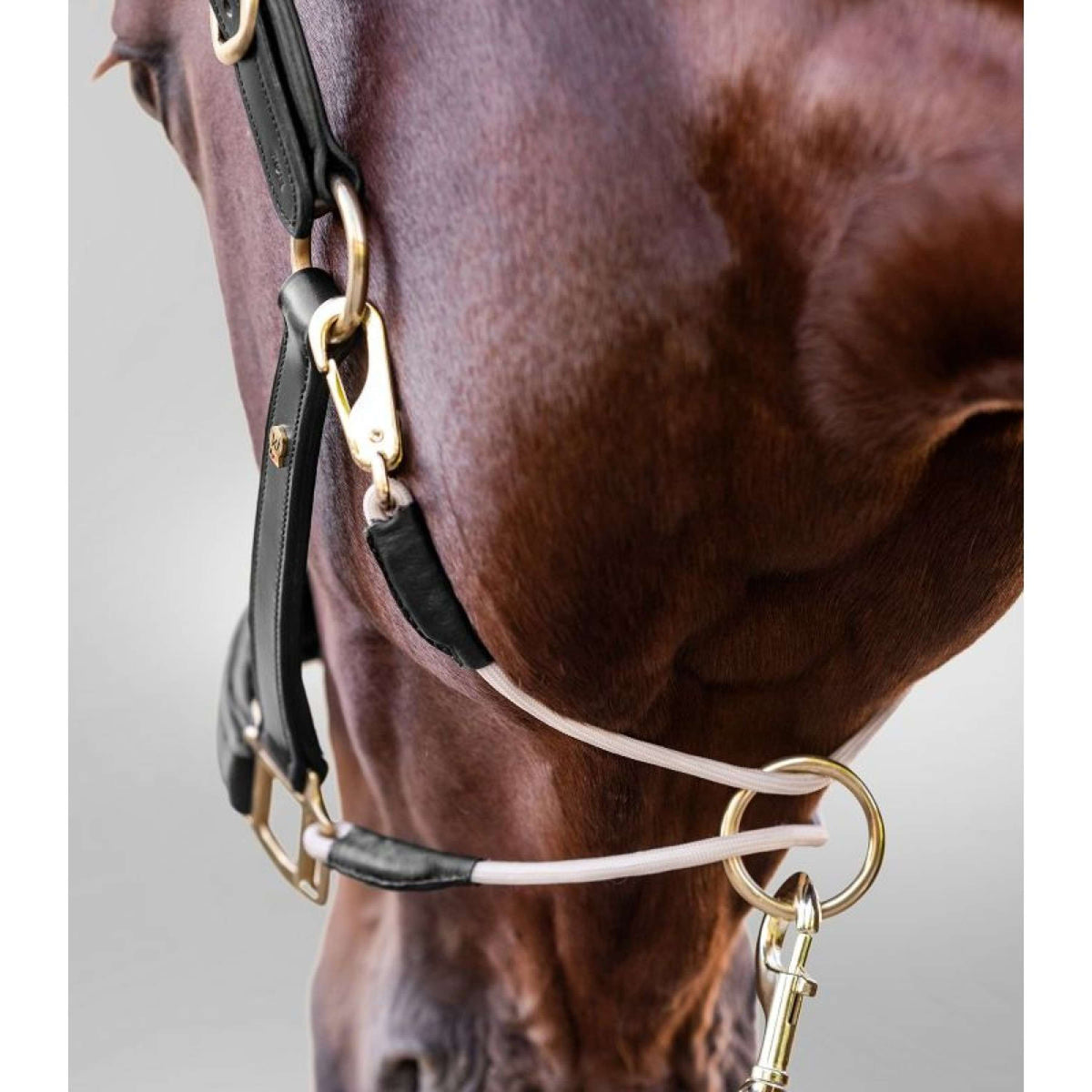 Waldhausen Cabezada S-Line Leather Negro